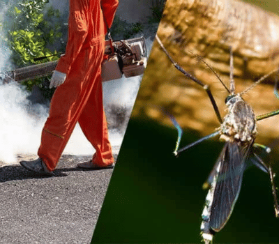 Mosquito Control